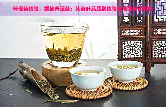 普洱茶检验，揭秘普洱茶：从茶叶品质到检验标准的全面解析