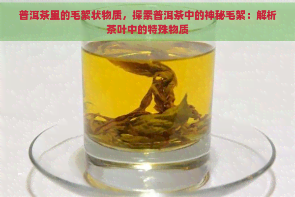 普洱茶里的毛絮状物质，探索普洱茶中的神秘毛絮：解析茶叶中的特殊物质