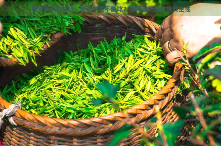 普洱茶不能吃吗，普洱茶能不能吃？解析茶叶的饮食安全性