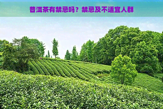 普洱茶有禁忌吗？禁忌及不适宜人群