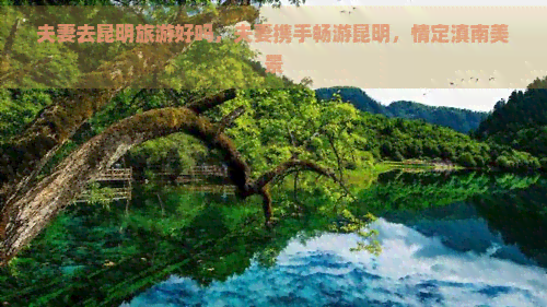 夫妻去昆明旅游好吗，夫妻携手畅游昆明，情定滇南美景