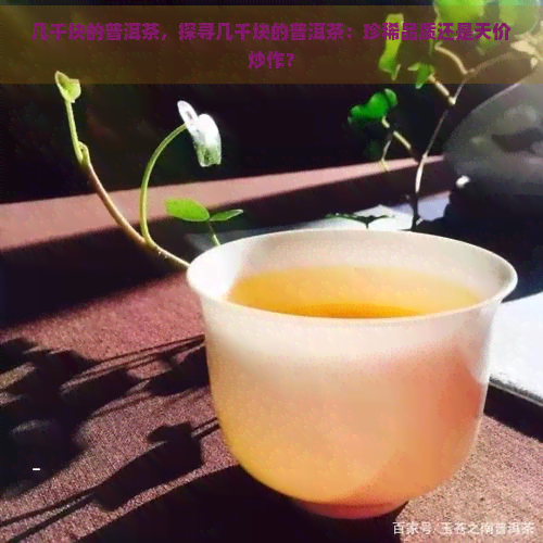 几千块的普洱茶，探寻几千块的普洱茶：珍稀品质还是天价炒作？