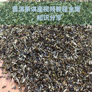 普洱茶讲座视频教程全集，知识分享