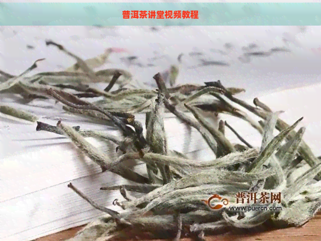 普洱茶讲堂视频教程