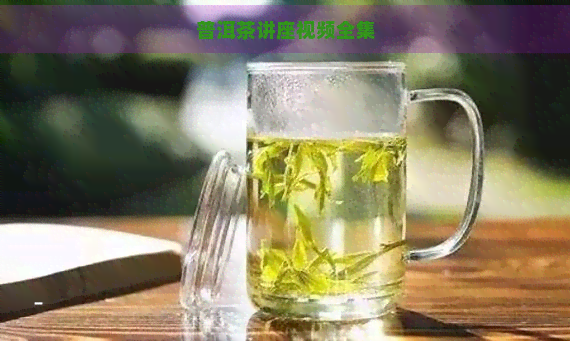 普洱茶讲座视频全集