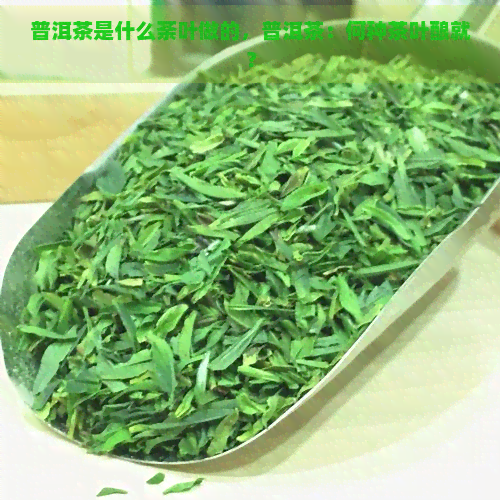 普洱茶是什么荼叶做的，普洱茶：何种茶叶酿就？