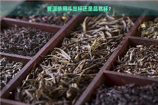 普洱茶用斗笠杯还是品茗杯？