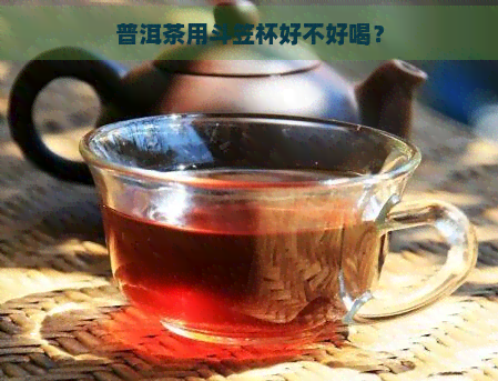 普洱茶用斗笠杯好不好喝？