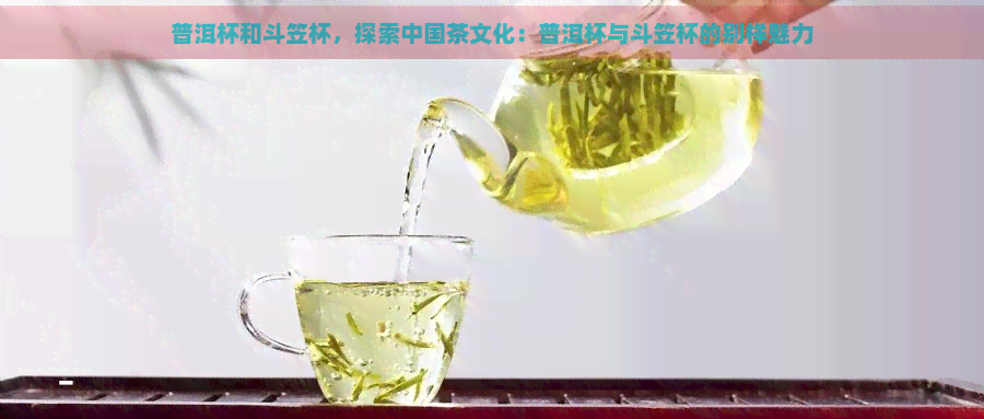 普洱杯和斗笠杯，探索中国茶文化：普洱杯与斗笠杯的别样魅力