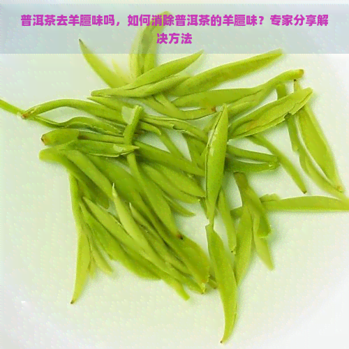 普洱茶去羊膻味吗，如何消除普洱茶的羊膻味？专家分享解决方法