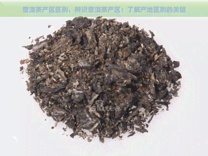 普洱茶产区区别，辨识普洱茶产区：了解产地区别的关键