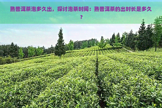 熟普洱茶泡多久出，探讨泡茶时间：熟普洱茶的出时长是多久？