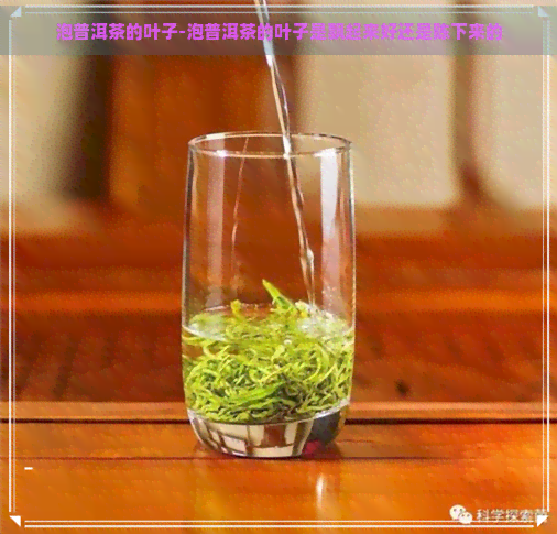 泡普洱茶的叶子-泡普洱茶的叶子是飘起来好还是陈下来的