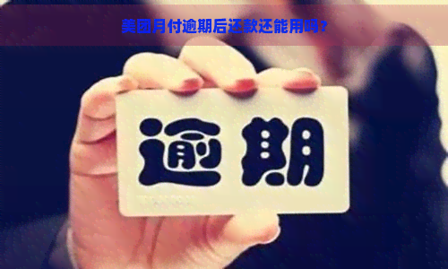 美团月付逾期后还款还能用吗？