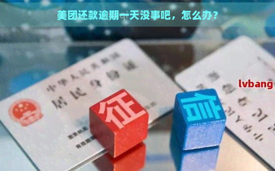 美团还款逾期一天没事吧，怎么办？