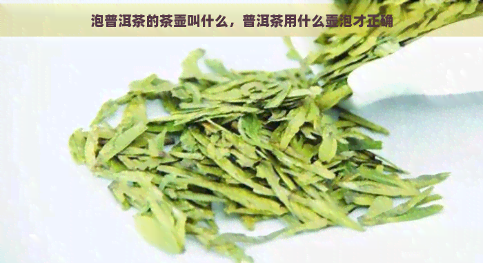 泡普洱茶的茶壶叫什么，普洱茶用什么壶泡才正确