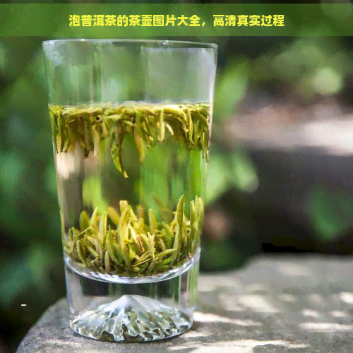 泡普洱茶的茶壶图片大全，高     实过程