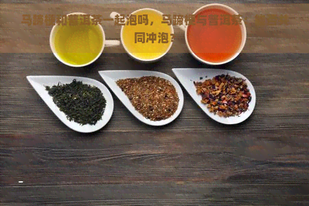 马蹄梗和普洱茶一起泡吗，马蹄梗与普洱茶：能否共同冲泡？