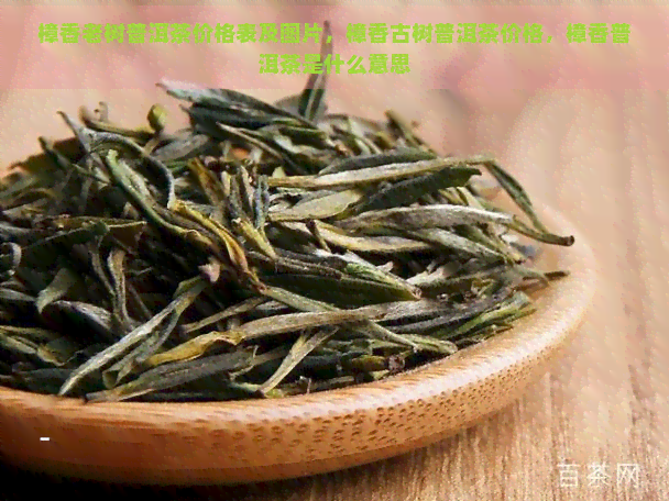 樟香老树普洱茶价格表及图片，樟香古树普洱茶价格，樟香普洱茶是什么意思