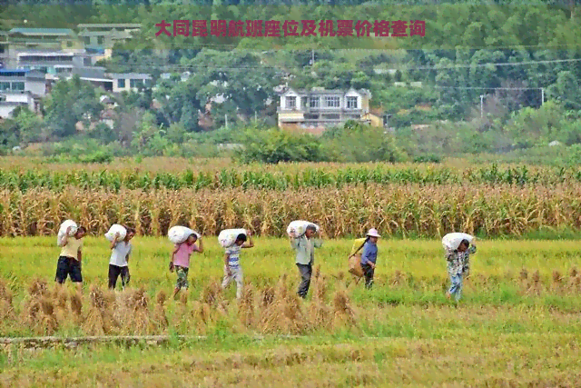 大同昆明航班座位及机票价格查询