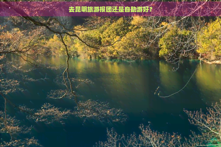 去昆明旅游报团还是自助游好？