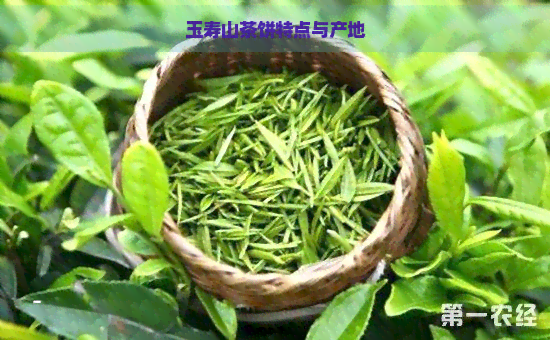 玉寿山茶饼特点与产地