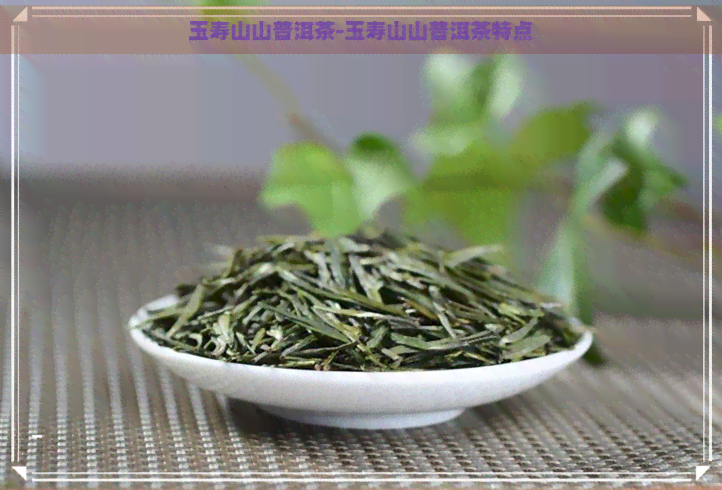 玉寿山山普洱茶-玉寿山山普洱茶特点