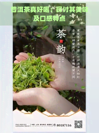 普洱茶真好喝：探讨其美味及口感特点