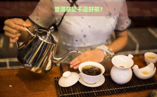 普洱茶是不是好茶？