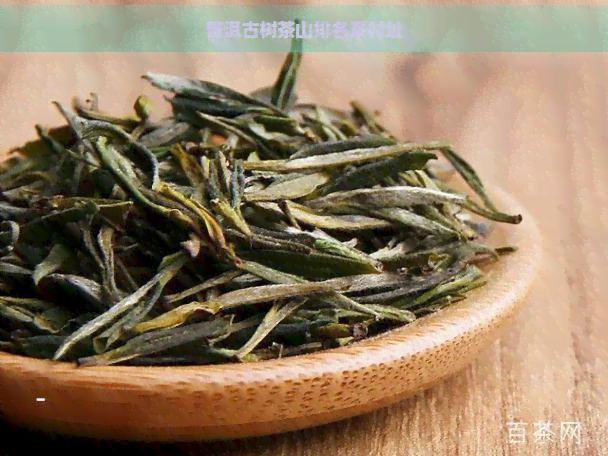 普洱古树茶山排名及村址