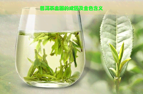 普洱茶金圈的成因及金色含义