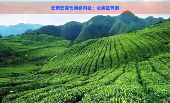 云南云茶仓网络科技：业务及官网