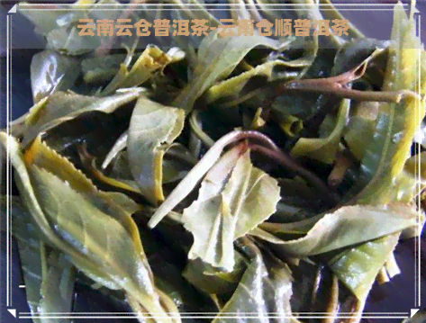 云南云仓普洱茶-云南仓顺普洱茶