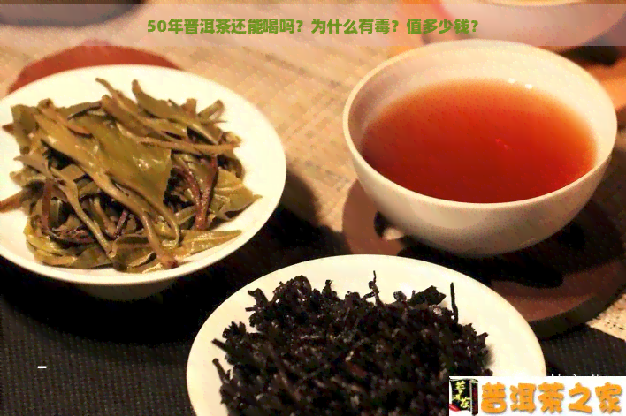 50年普洱茶还能喝吗？为什么有？值多少钱？