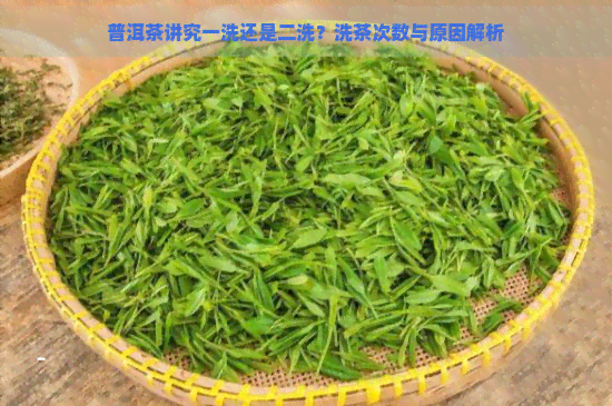 普洱茶讲究一洗还是二洗？洗茶次数与原因解析