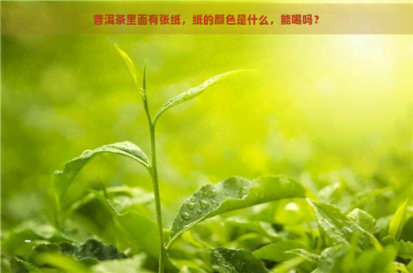 普洱茶里面有张纸，纸的颜色是什么，能喝吗？