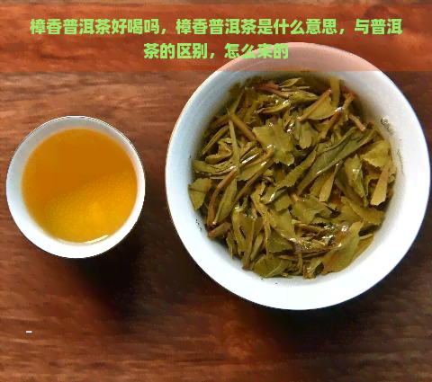 樟香普洱茶好喝吗，樟香普洱茶是什么意思，与普洱茶的区别，怎么来的