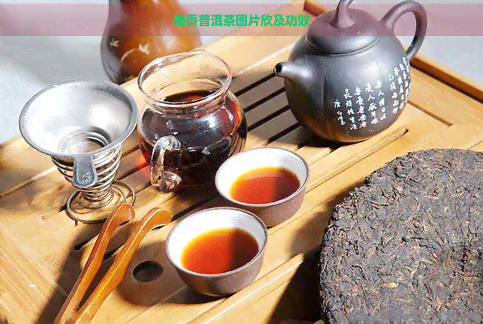 樟香普洱茶图片欣及功效