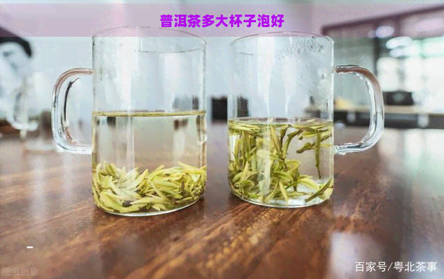 普洱茶多大杯子泡好