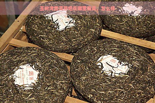 玉树湾普洱茶吧在哪里有卖，怎么样