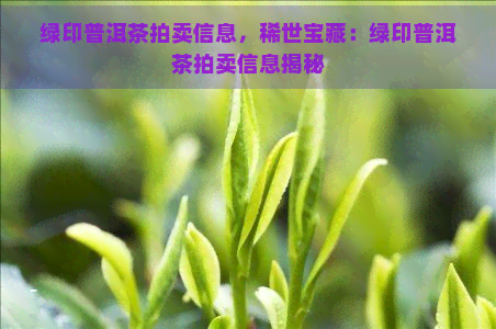 绿印普洱茶拍卖信息，稀世宝藏：绿印普洱茶拍卖信息揭秘