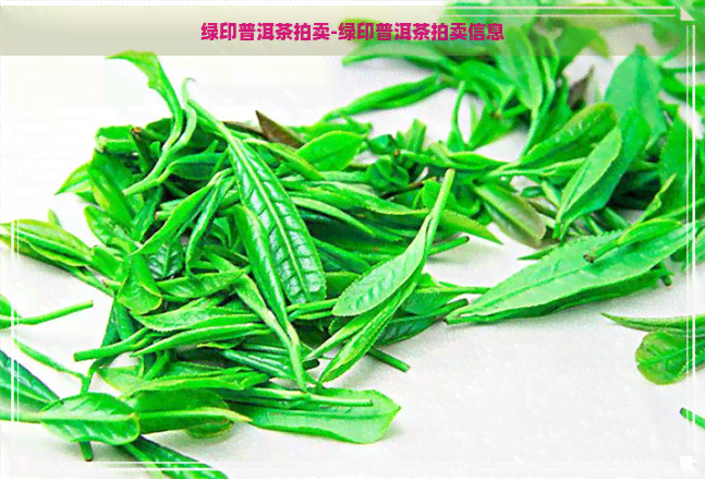 绿印普洱茶拍卖-绿印普洱茶拍卖信息