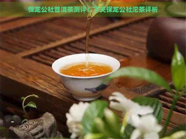 保龙公社普洱茶测评：下关保龙公社沱茶评析