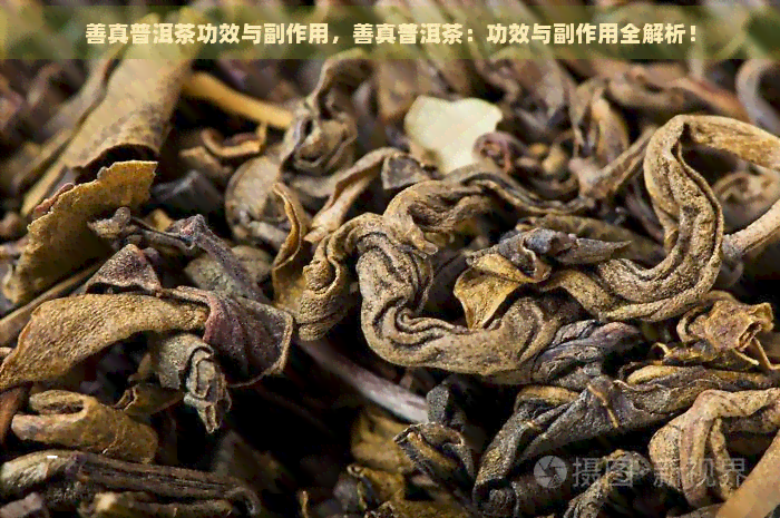 善真普洱茶功效与副作用，善真普洱茶：功效与副作用全解析！