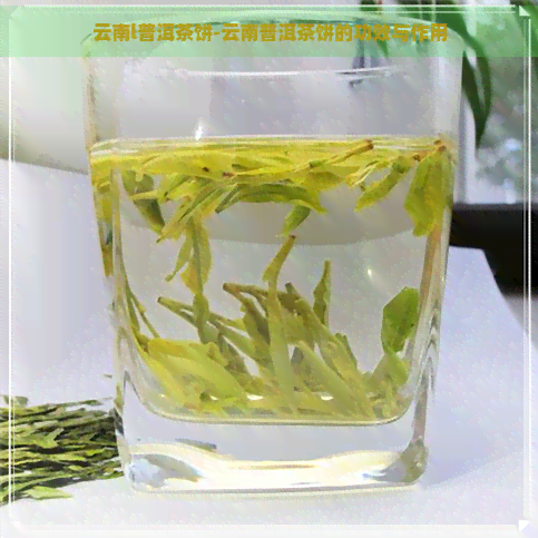 云南l普洱茶饼-云南普洱茶饼的功效与作用