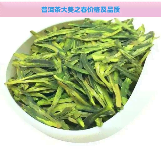 普洱茶大美之春价格及品质