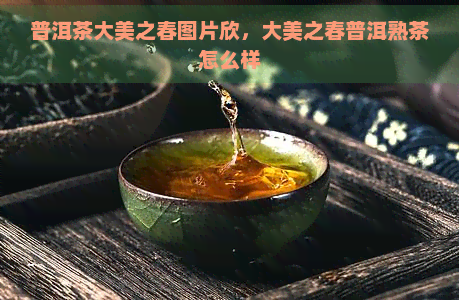 普洱茶大美之春图片欣，大美之春普洱熟茶怎么样