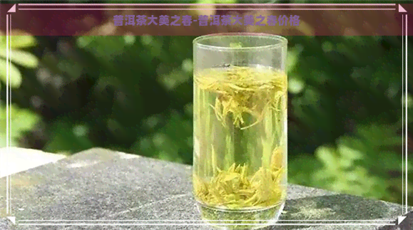 普洱茶大美之春-普洱茶大美之春价格