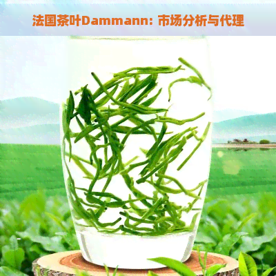 法国茶叶Dammann: 市场分析与代理