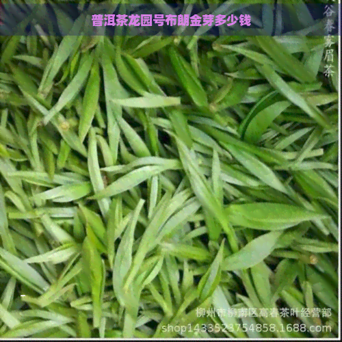 普洱茶龙园号布朗金芽多少钱